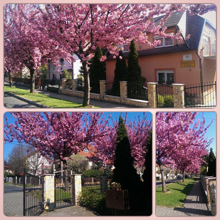 Szecsenyi Apartman Hévíz Exteriér fotografie
